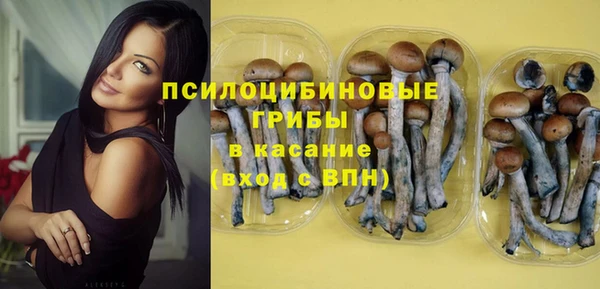 гидропоника Абаза